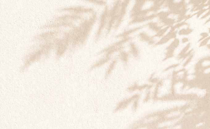 Sandfarbene Wand mit Palmenschatten